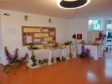 DSCN0691